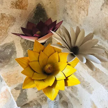 Vendégház Peasant's Palace