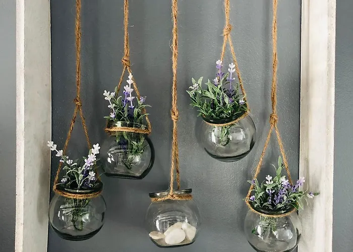 Gasthuis Peasant's Palace