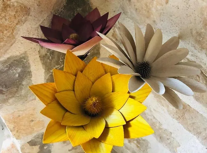 Gasthuis Peasant's Palace